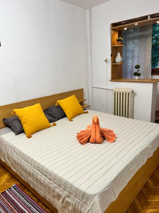 Miha Modern And Central Apartament Malul Muresului Arad Exterior photo