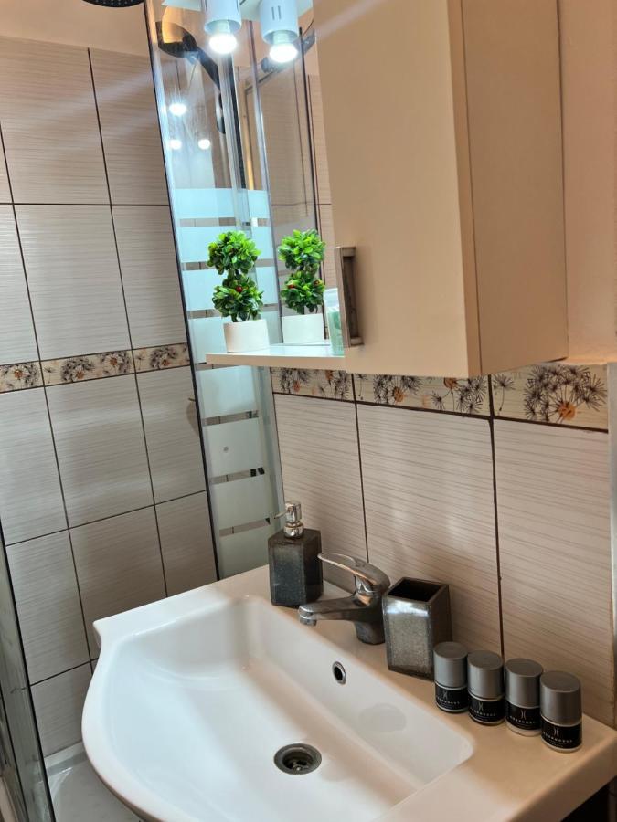 Miha Modern And Central Apartament Malul Muresului Arad Exterior photo