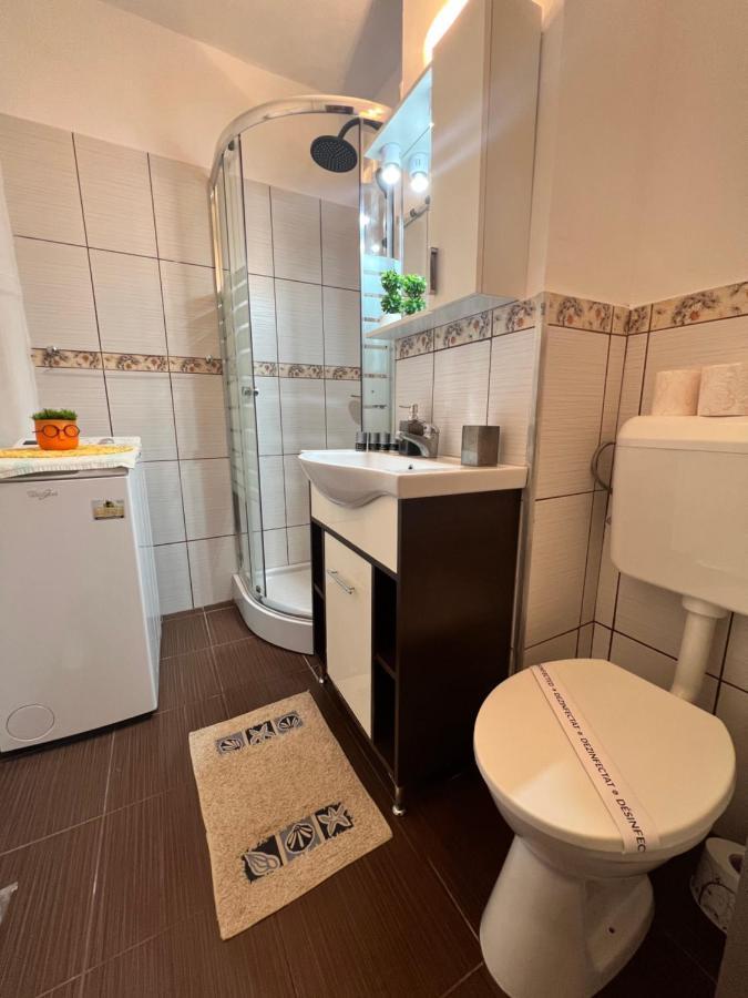 Miha Modern And Central Apartament Malul Muresului Arad Exterior photo