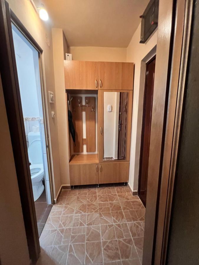Miha Modern And Central Apartament Malul Muresului Arad Exterior photo